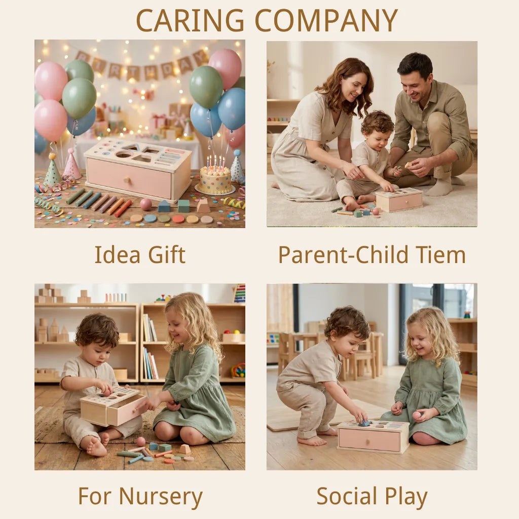 Wooden Shape Sorter Toy