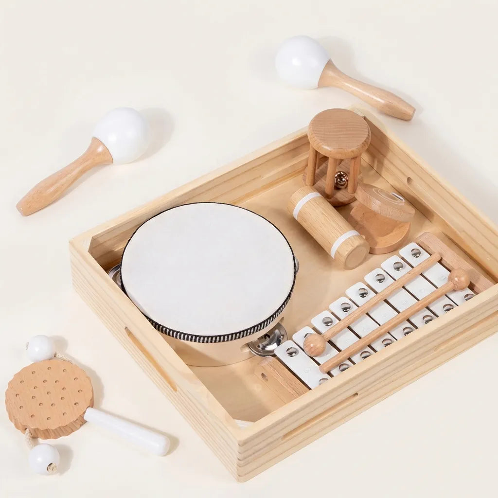 Montessori Wooden Sensory Toys